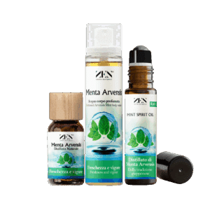 KIT TOTAL BODY BERGAMOT