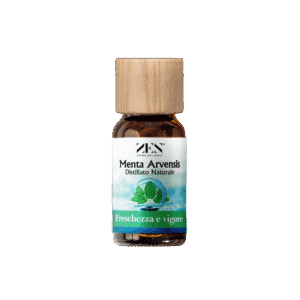 Mint Spirit Oil / Olio essenziale di Menta Arvensis 10ml / 50ml / 100ml